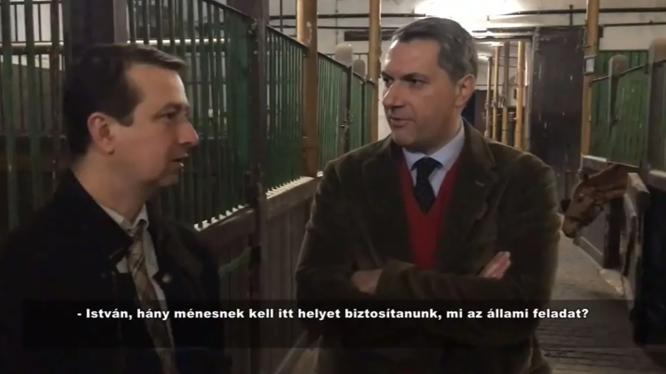 A mezőhegyesi ménesbirtokon kampányolt Lázár