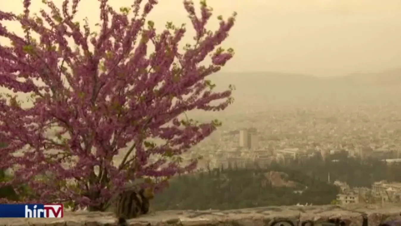 Felfedező - Temető