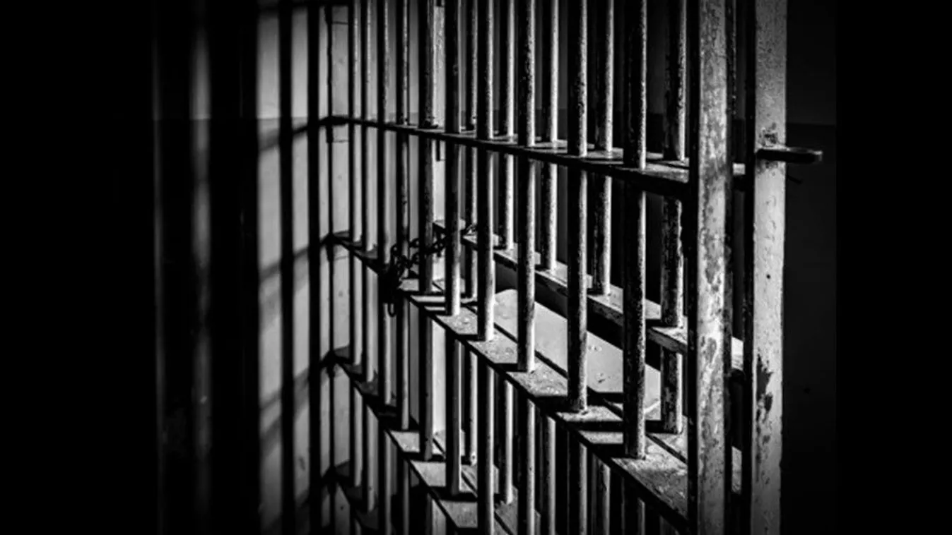 Bűnözőkből politikusok: 500 ajánlás a szabadság ára