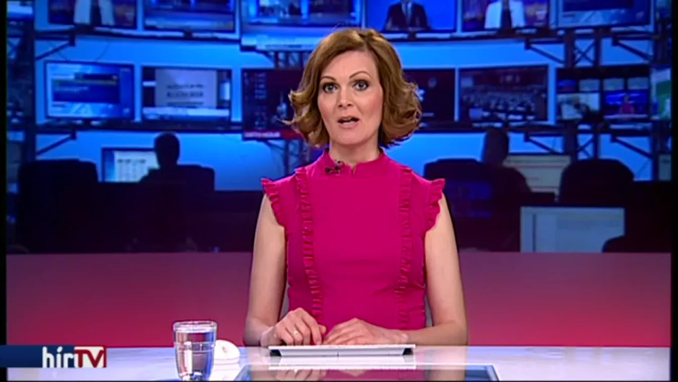 Tagadta bűnösségét a parndorfi tragédia elsőrendű vádlottja