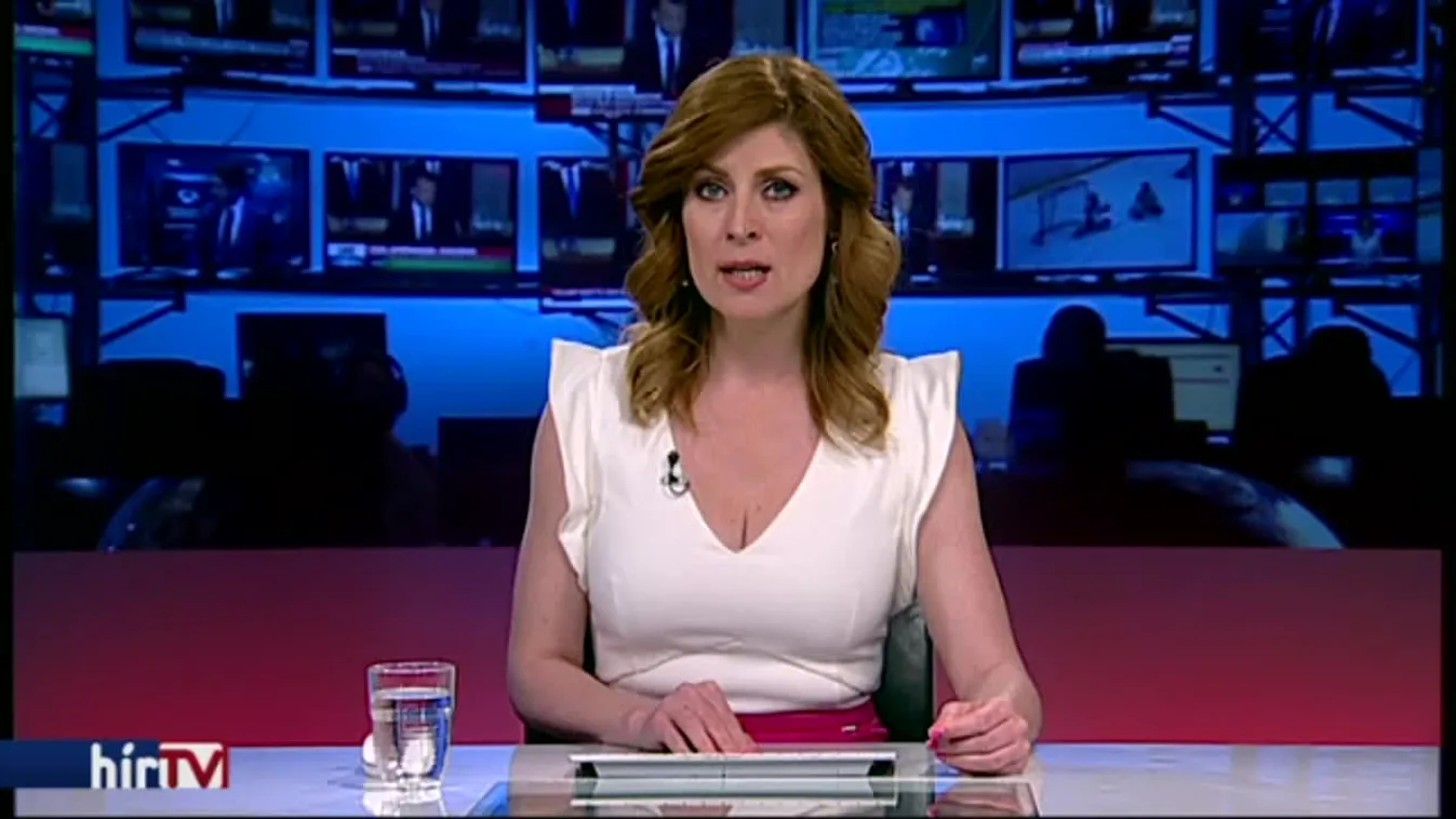 Megelégelte a magyarországi korrupciót az EP költségvetési bizottsága