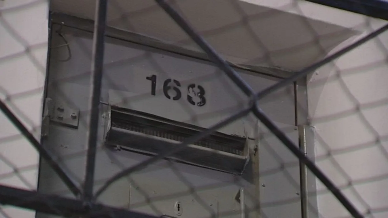 Képviselőjelölti mentelmi joggal szabadultak az előzetesből