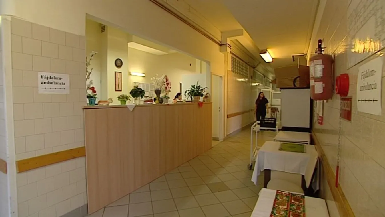 Hiába kért kormányzati segítséget a gödöllői tüdőgondozó intézet