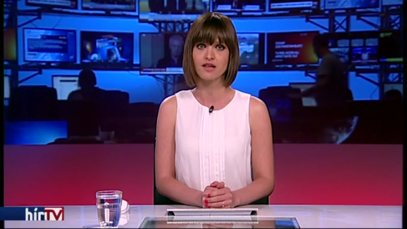 Kurz: Alaptalan Sorost vádolni a bevándorlás gerjesztésével