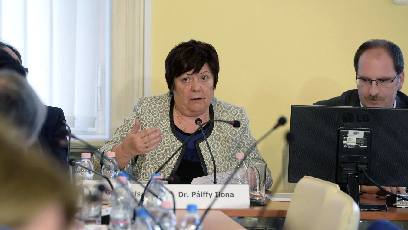 Pálffy: Még háromnegyed óra kell az eredmények közlésére