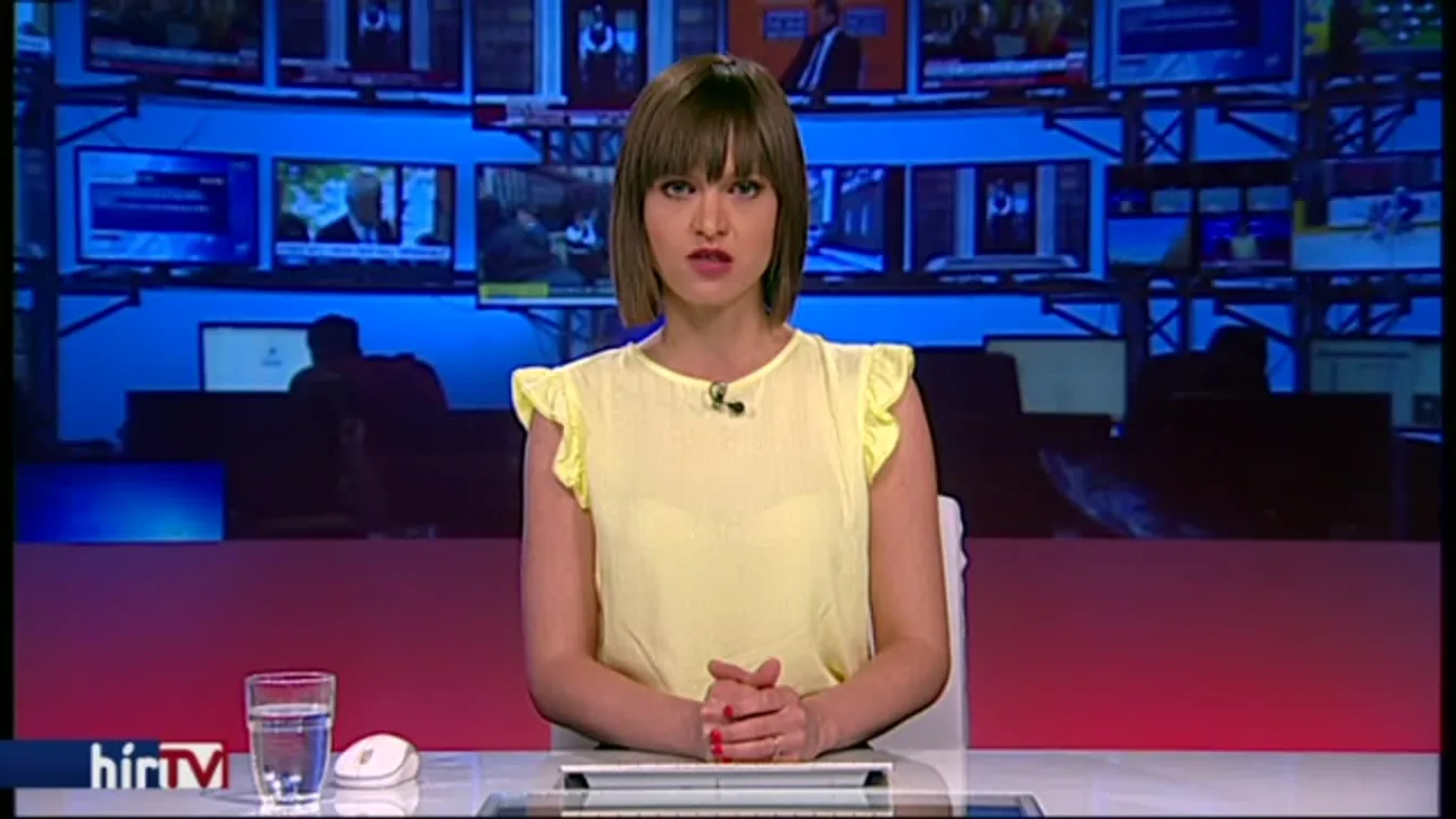 A NAV szerint Semjén luxusvadászata nem illetékköteles