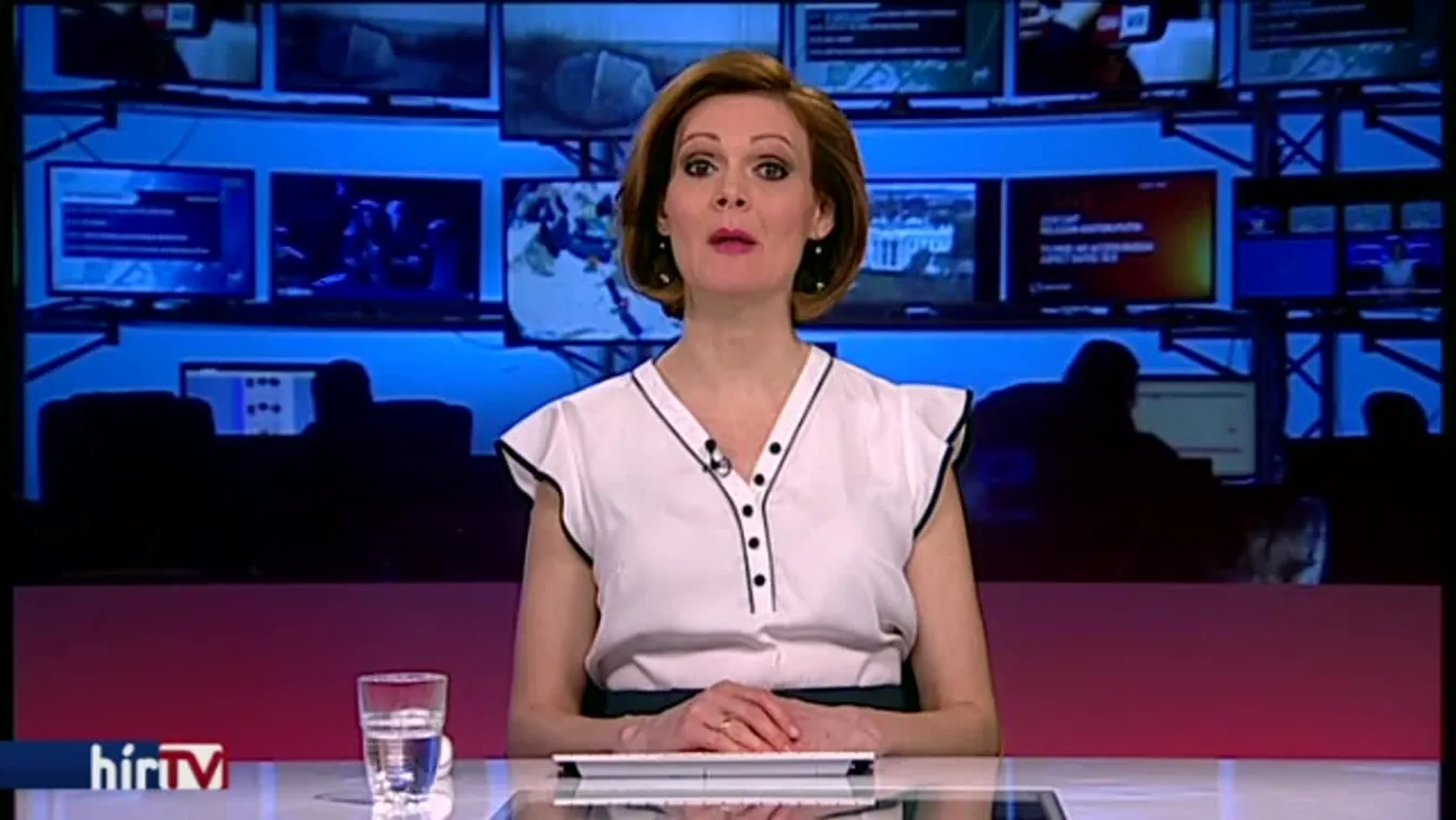 Pszichiátrián is kezelt német állampolgár gázolt Münsterben