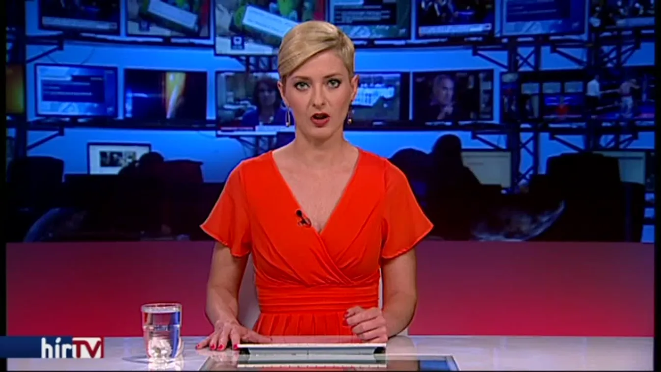 Ausztria szerdán megkurtíthatja a külföldi gyerekek után járó támogatást