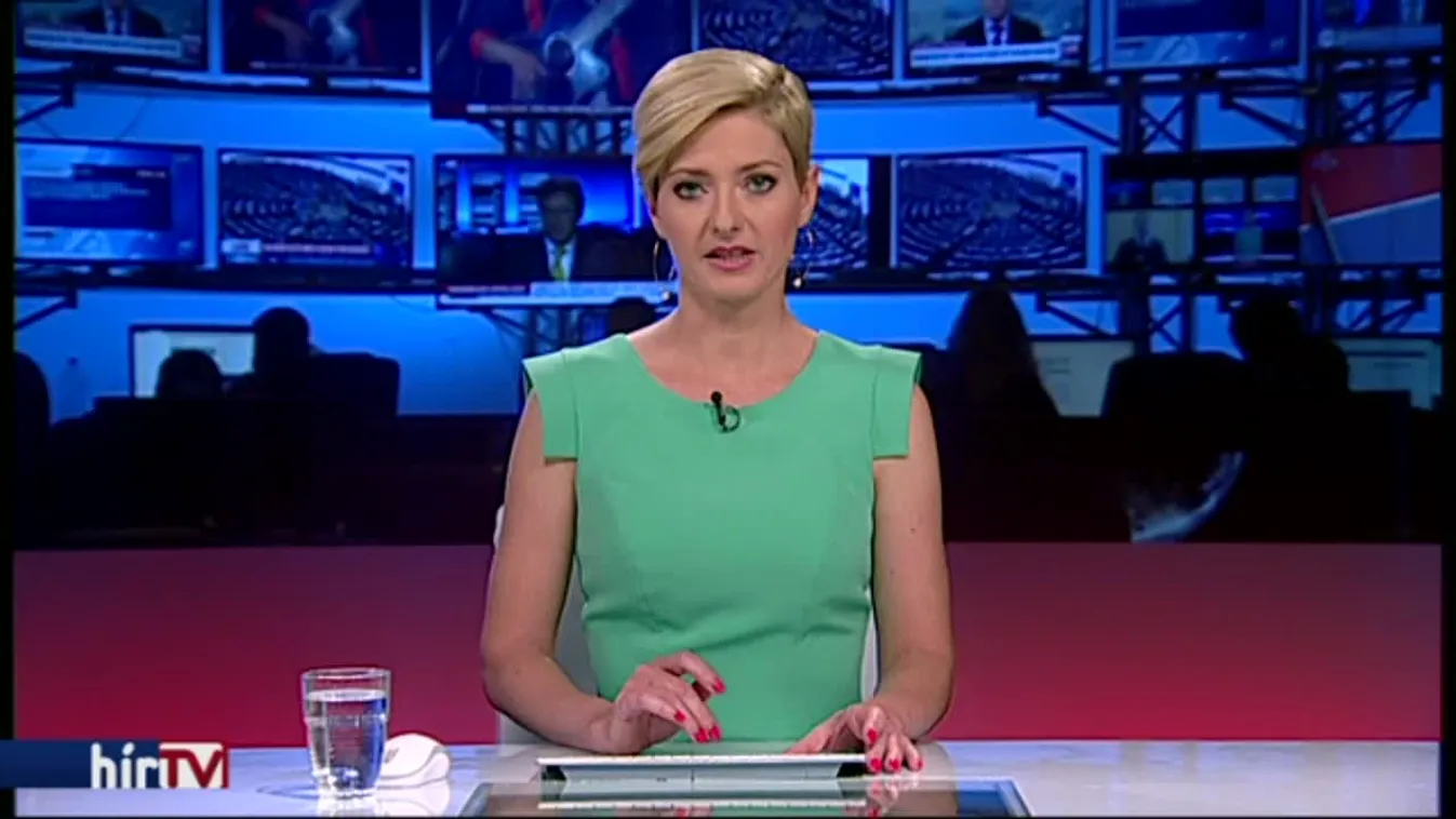 Gondolkodik a lemondáson Pálffy Ilona