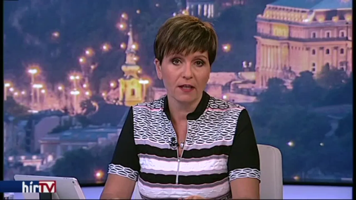 Egyenesen - Árnyékparlament