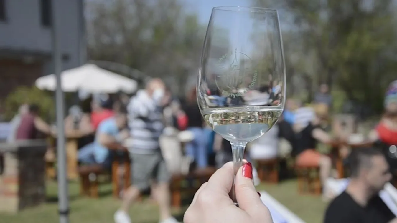 Különlegesség a Balatonnál