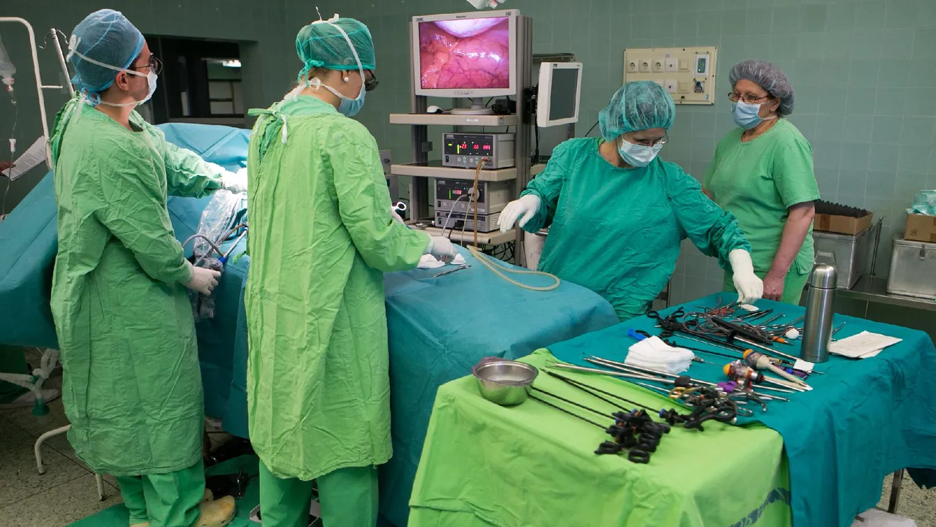 Ónodi-Szűcs: zavarokat okozhatnak a kórházi fertőzésekről szóló adatok