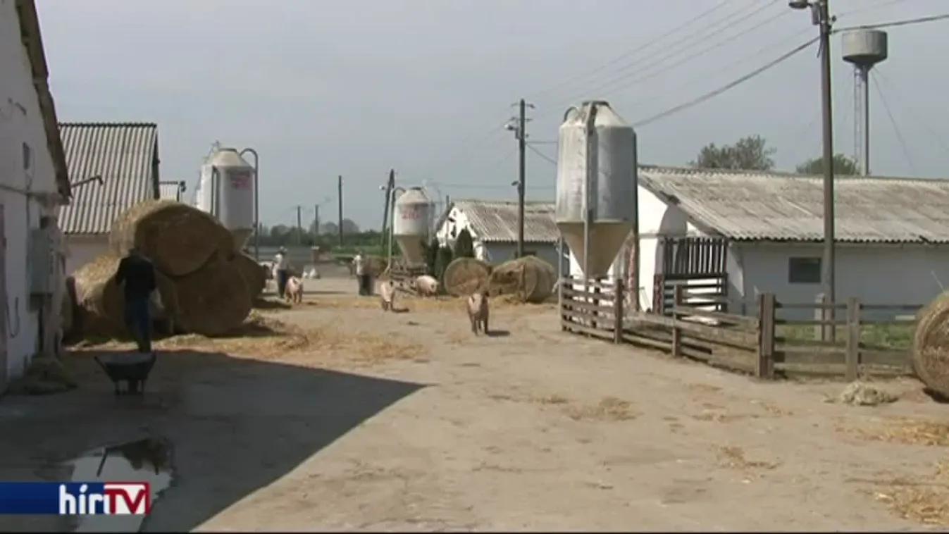 Válságkezeléssel indíthat az új agrárminiszter