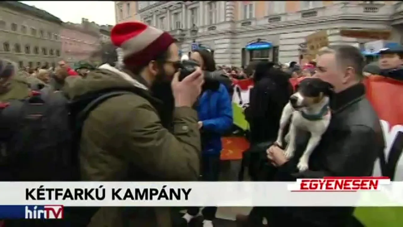 Egyenesen - Maradj talpon