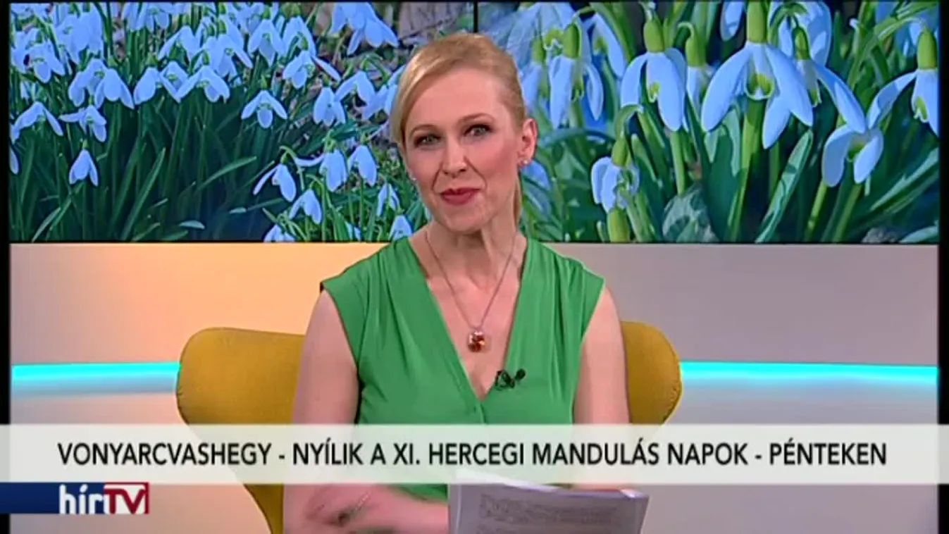 Reggeli járat - Programajánló