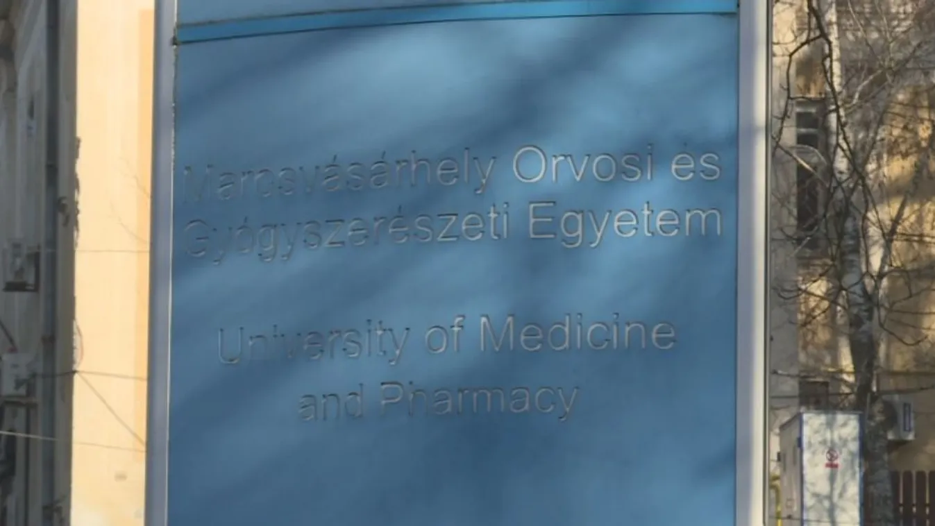 Egyetemösszevonás ellen tiltakoznak Marosvásárhelyen