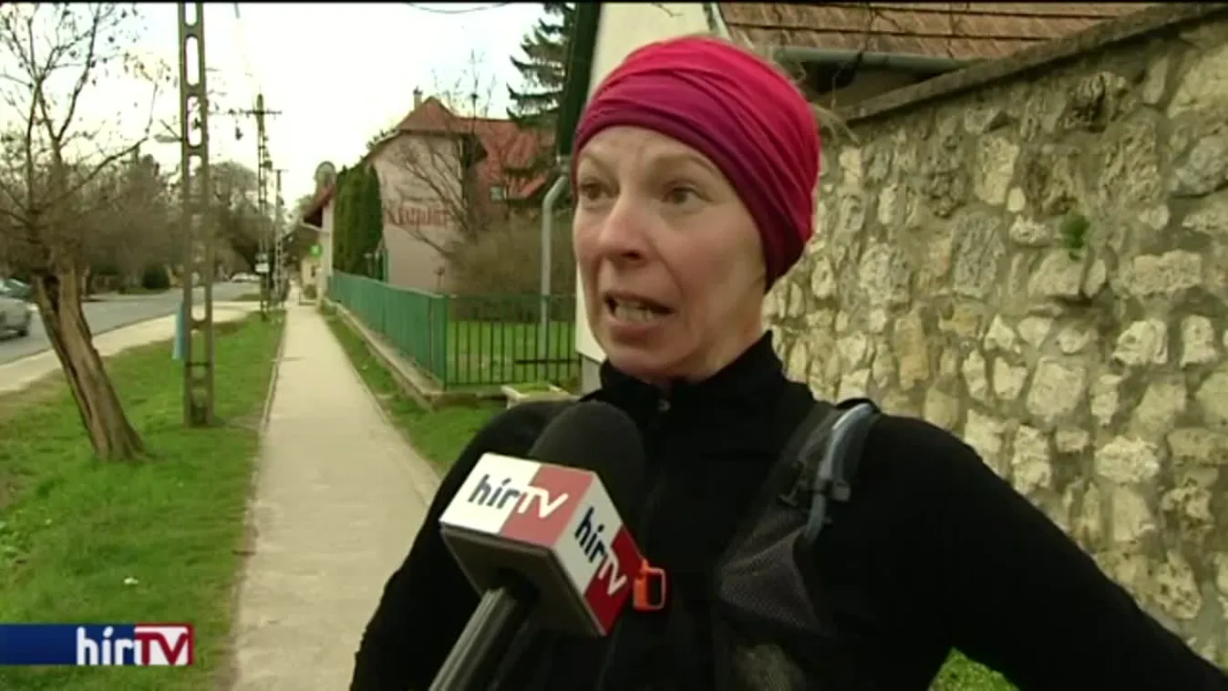 Pest megye 2. számú választókerülete