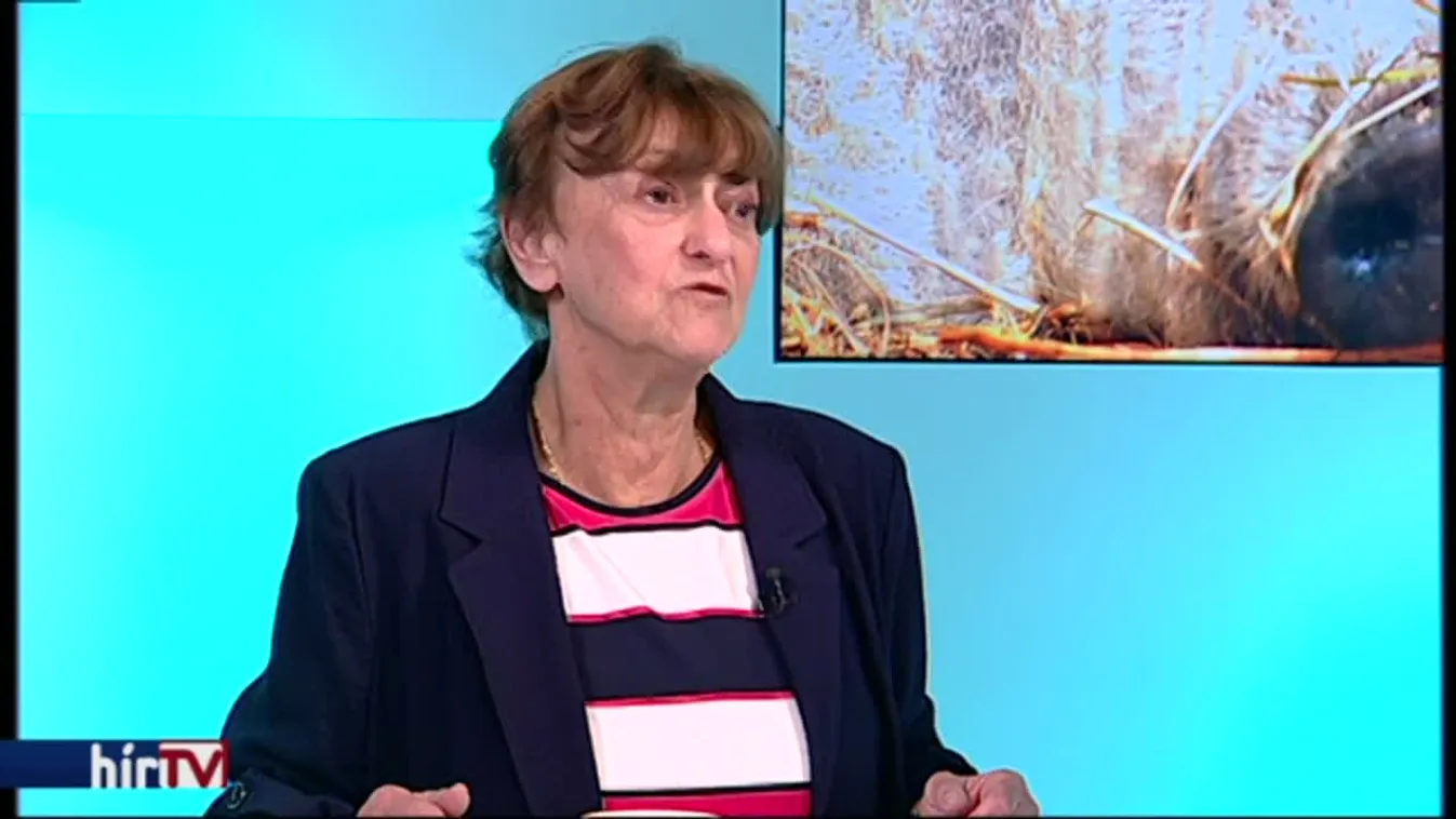 Reggeli járat - Felütötte fejét az afrikai sertéspestis