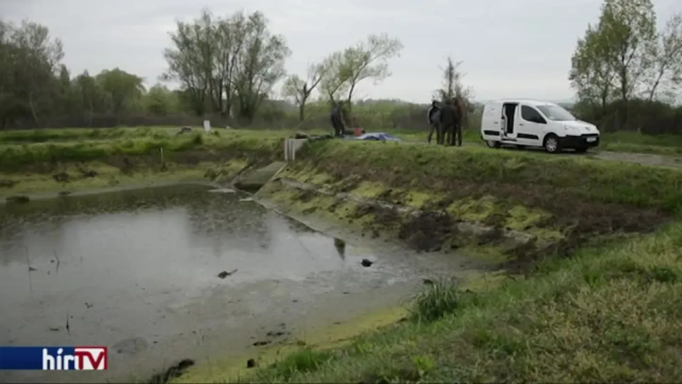 Csukákat telepítenek a héten a Balatonba