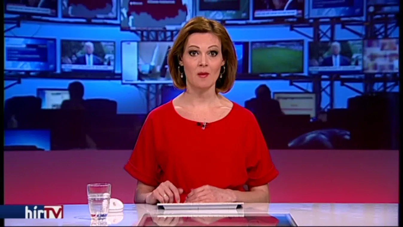 Lemondott a Momentum elnöksége