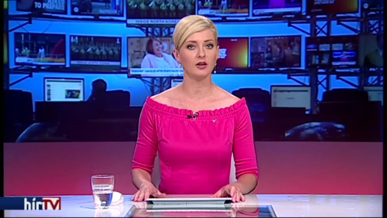 Elismerte az MTI, valótlanságokat közölt a Helsinki Bizottságról