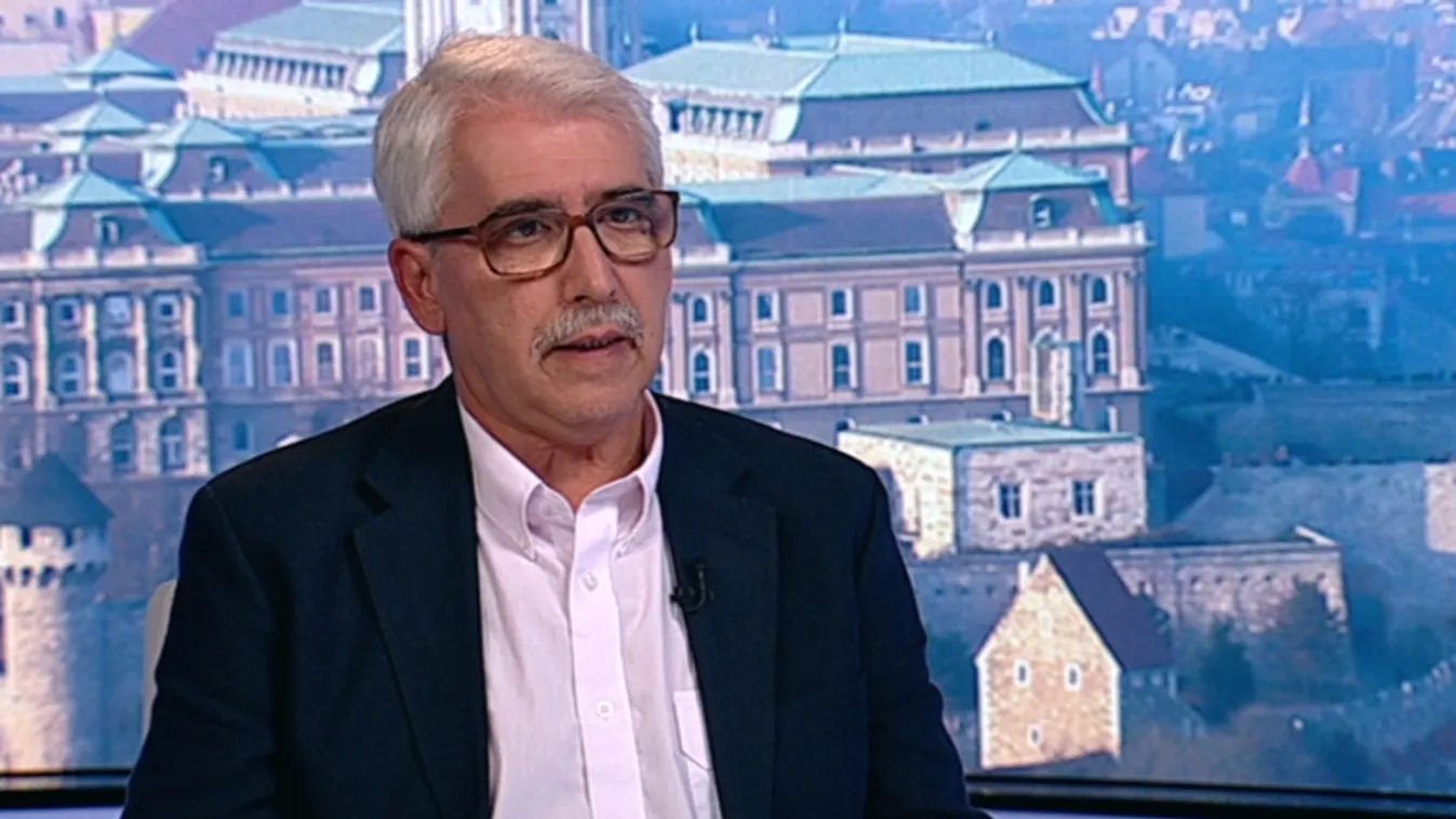 Jobbikos szavazatokat is elfogad a Menhely Alapítvány vezetője