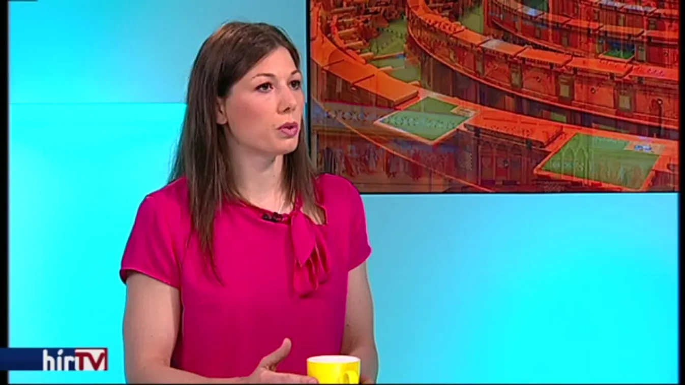 Reggeli járat - Liberális újonc a parlamentben