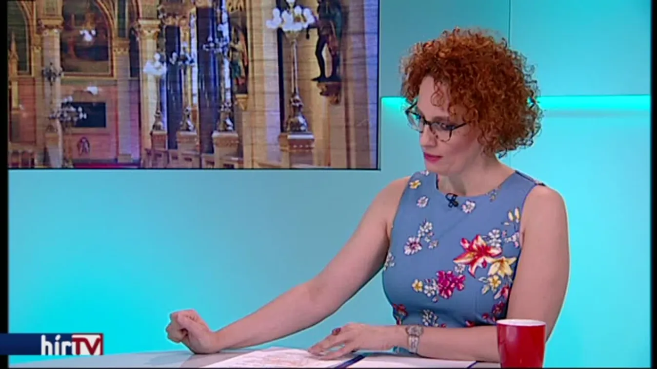 A párt nélküli képviselő