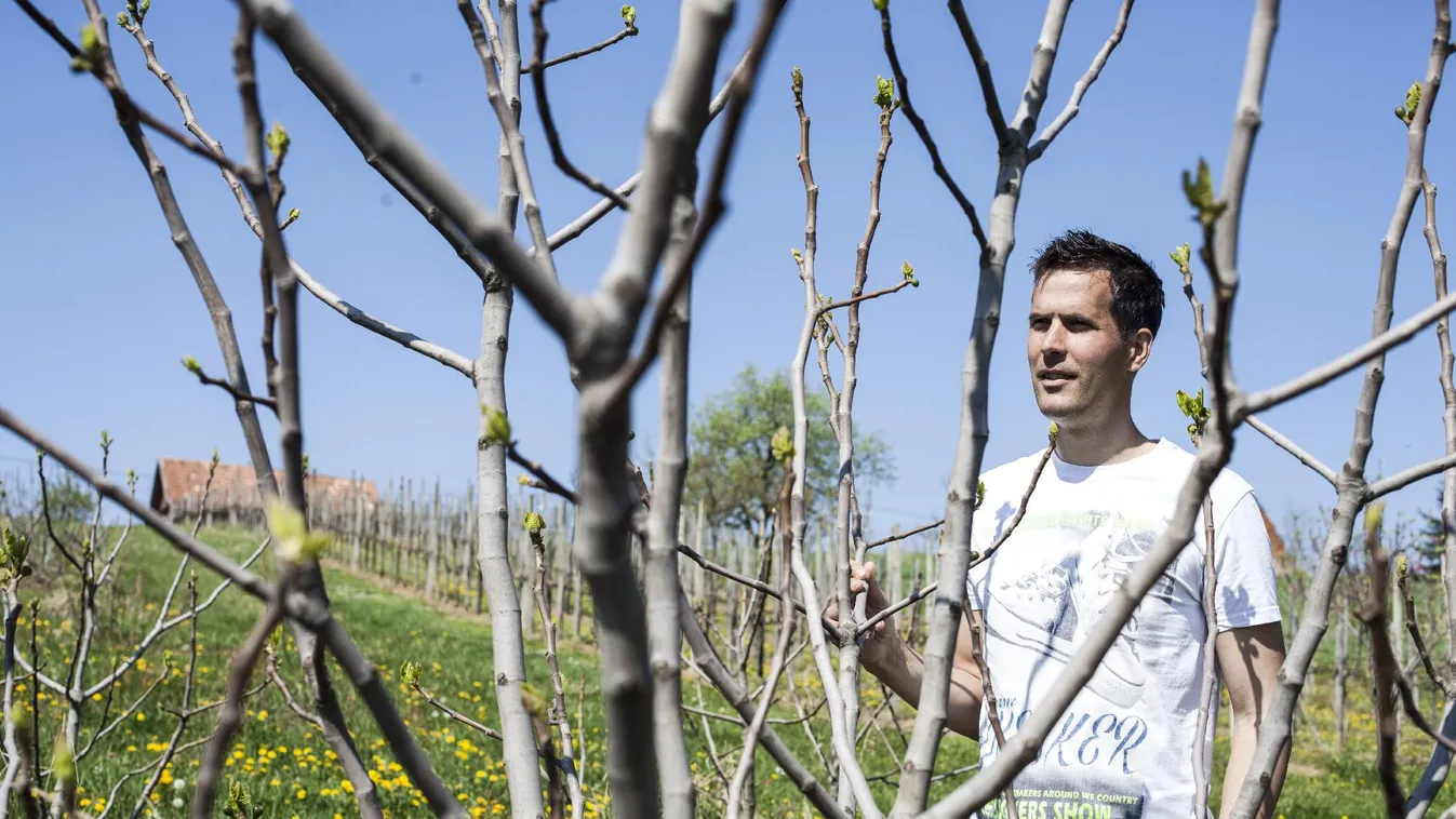 Húsz év kell a hazai termelőknek az agrárminiszter szerint