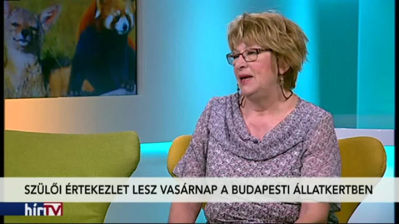 Reggeli járat - Örökbefogadás