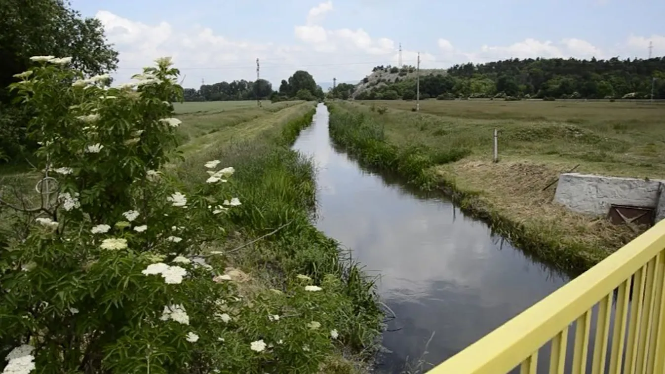 Egy 15 éves fiút gyanúsítanak a 8 éves kislány meggyilkolásával