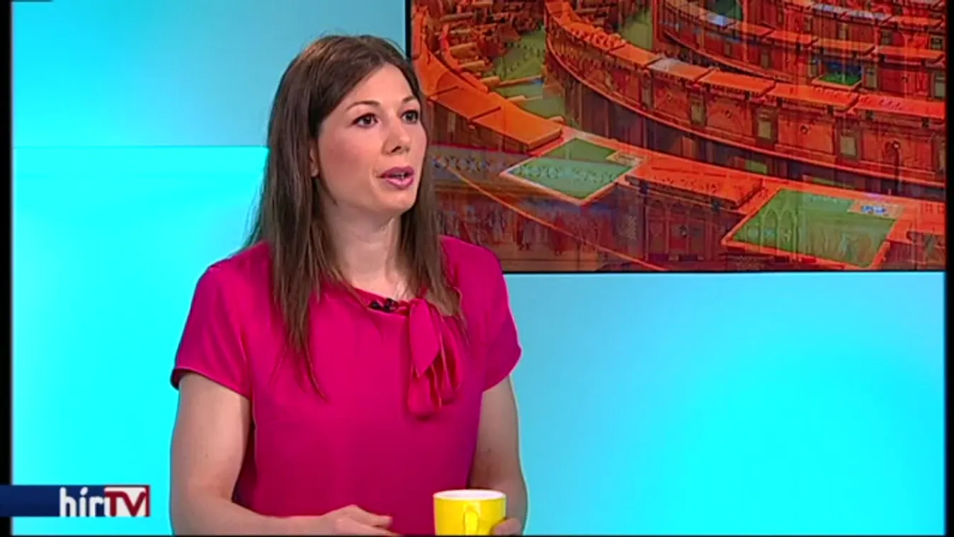 Liberális újonc a parlamentben