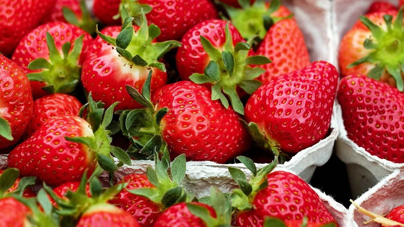 Az eperszezon gyorsmérlege Soroló