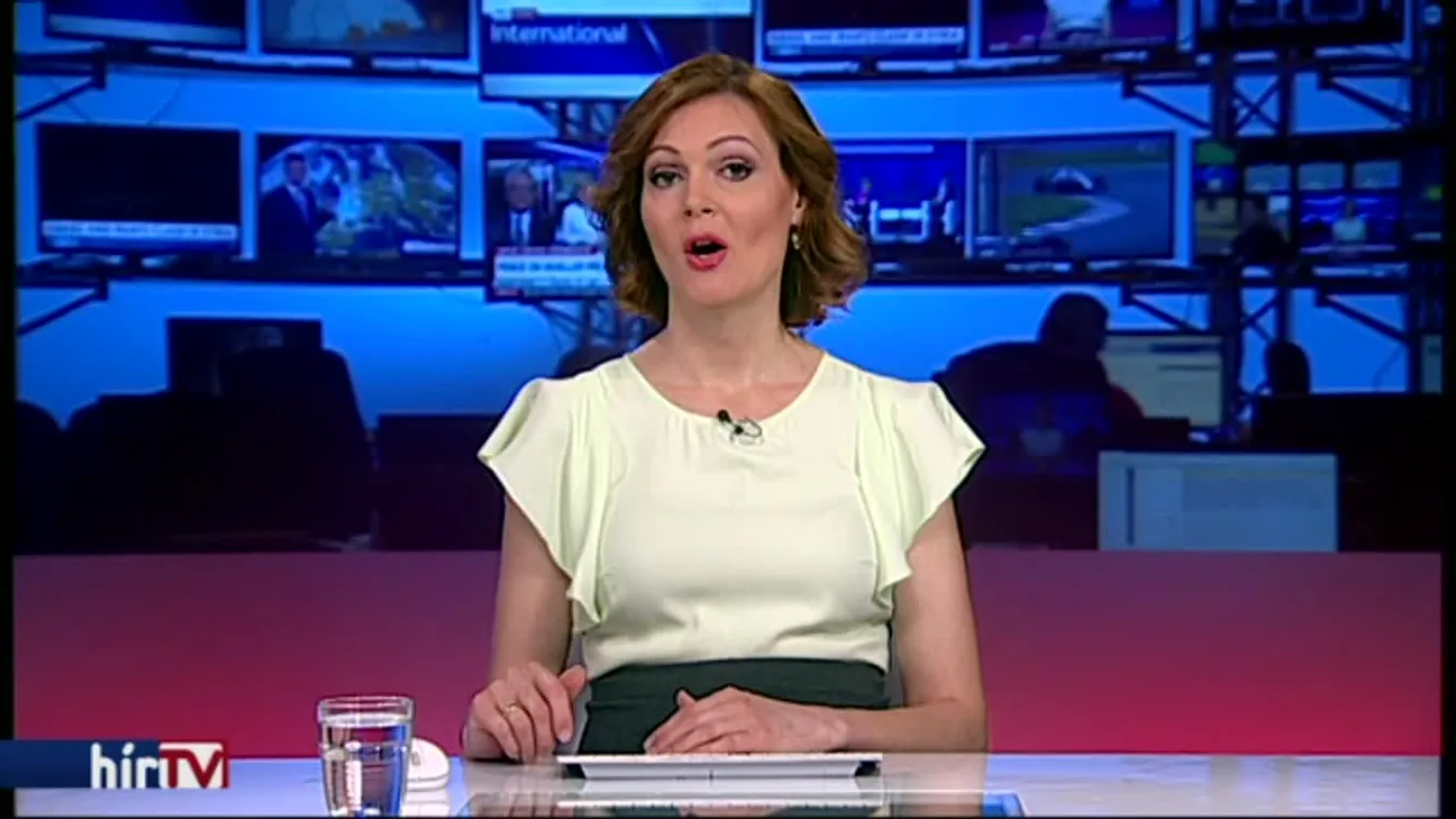 Politikai menedékjogot kapott Kanadában Mohácsi Viktória