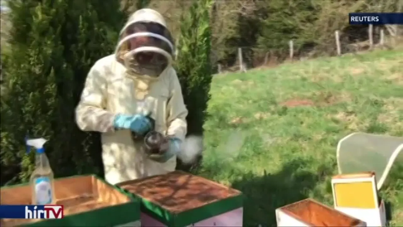 Európai híradó - Neonikotinoid