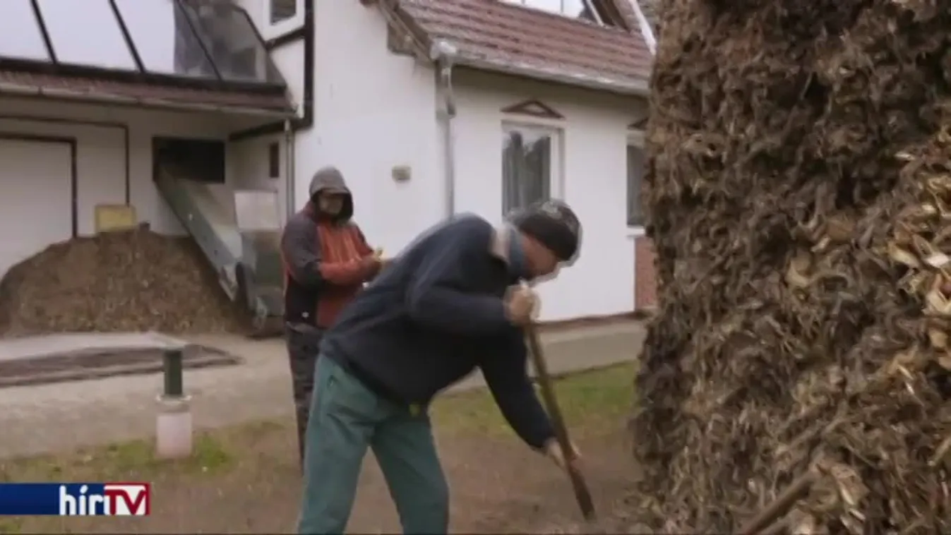 Több energiát termel a ház, mint amennyit fogyaszt