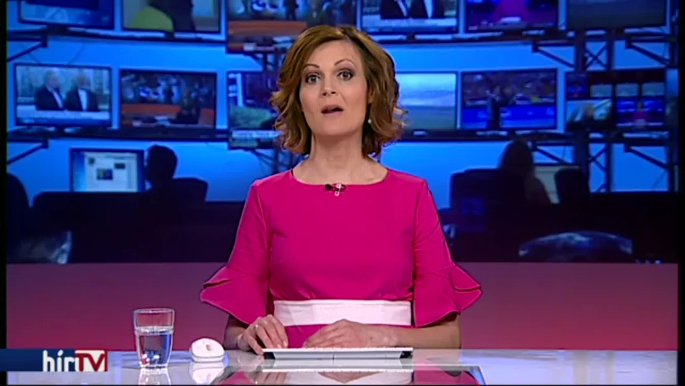 Áder bocsánatot kért a reformátusoktól a tüntetők helyett