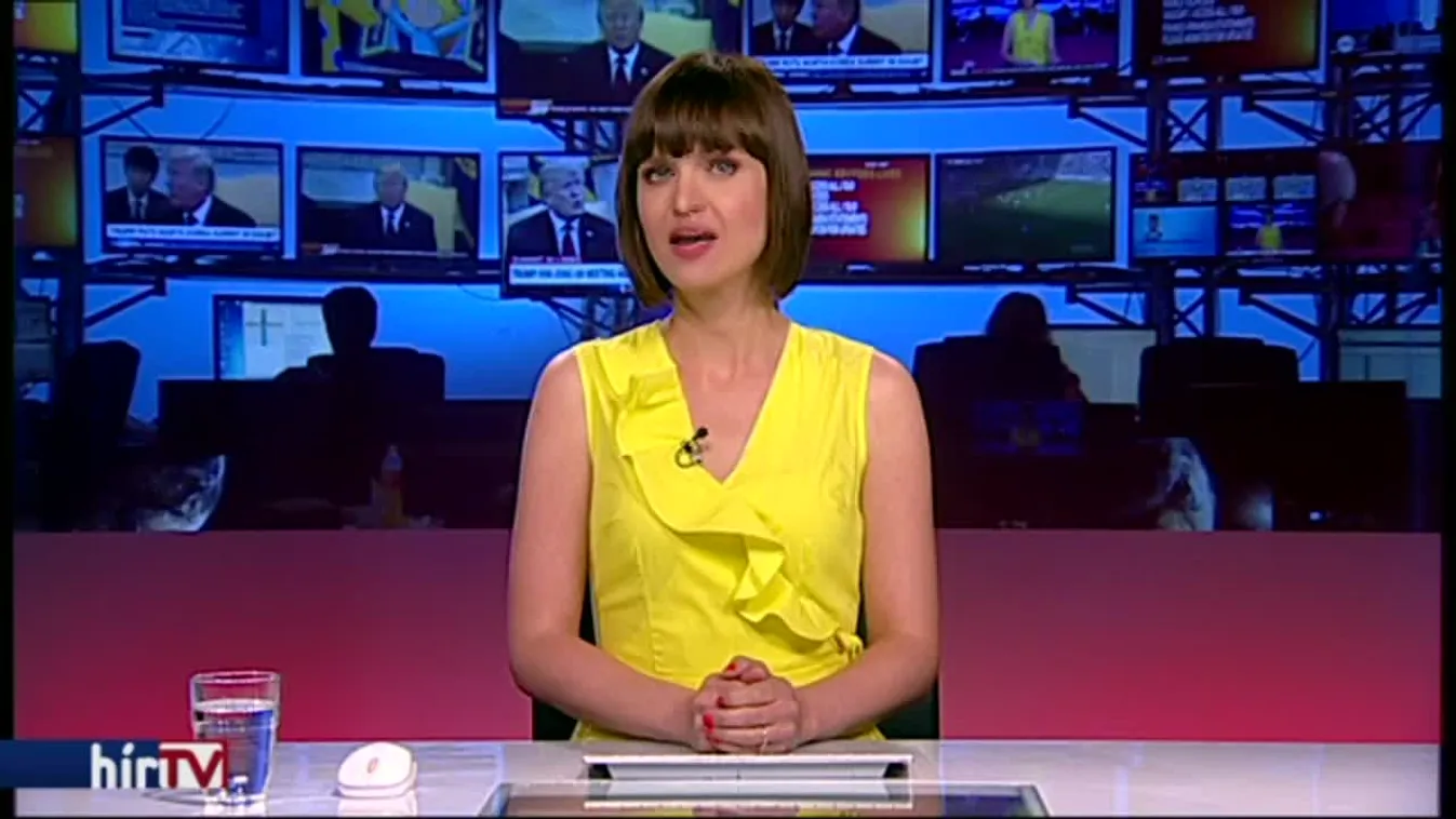 Plüsspingvinben rejtegették a drogot