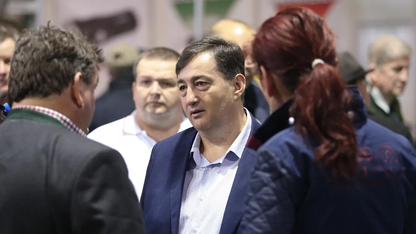 A startup-világba is belekóstolhat Mészáros