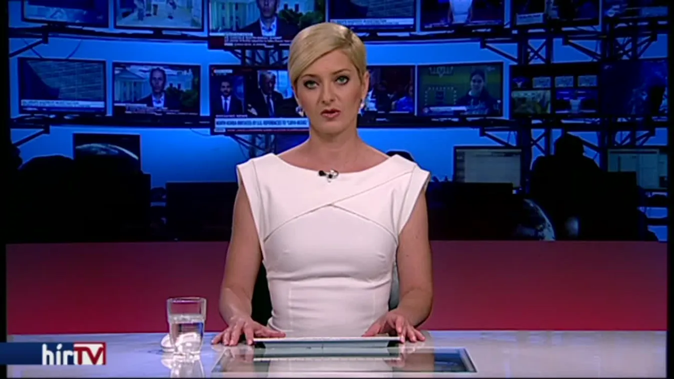 Nem az alaptörvényben előírtak szerint nevezte ki miniszterét a kormány