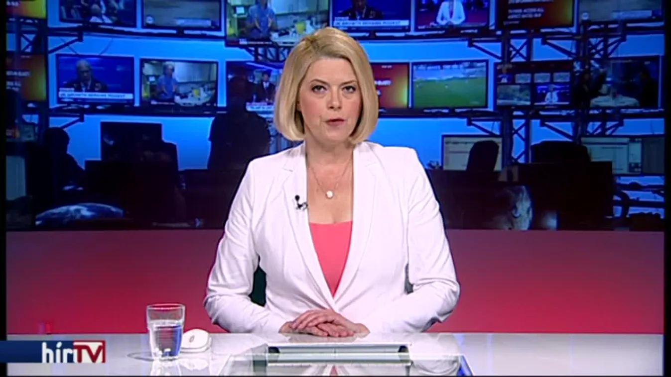 Elengedték a kaliforniai magyar nő felrobbantásával kapcsolatban elfogott férfit