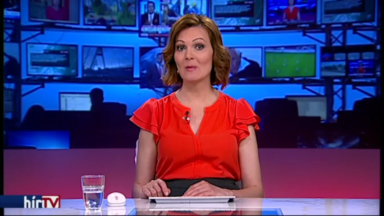 Mészáros Lőrinc jobbkeze irányítja a veszprémi kézilabdaklubot