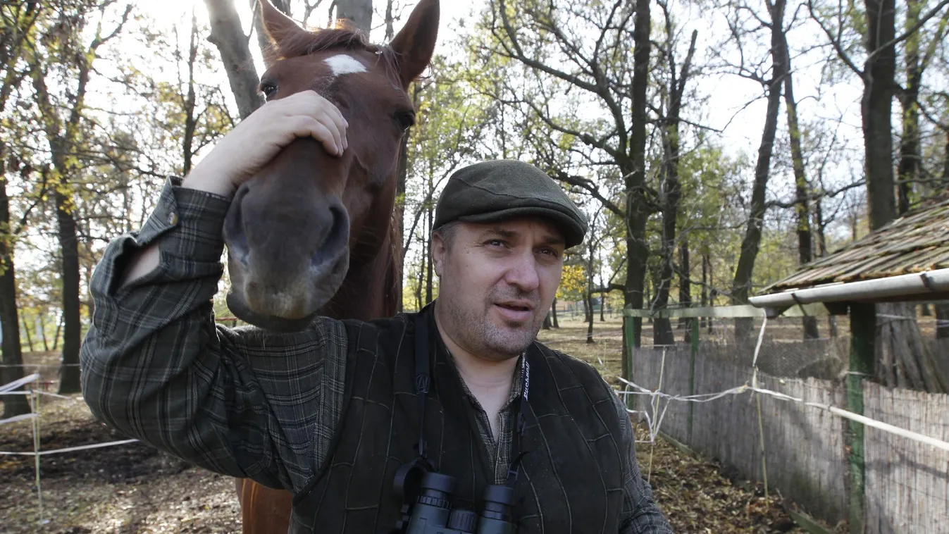 Úgy fest, Sallai kipofozta magát az LMP-ből