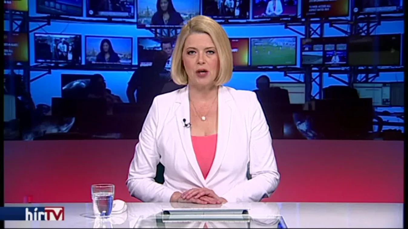 Gond van Villányban