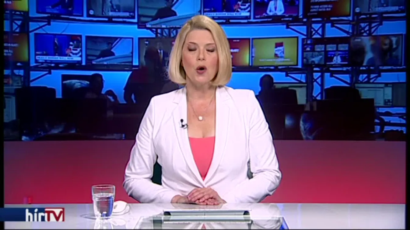 Bevásárolt lőszerből a NAV