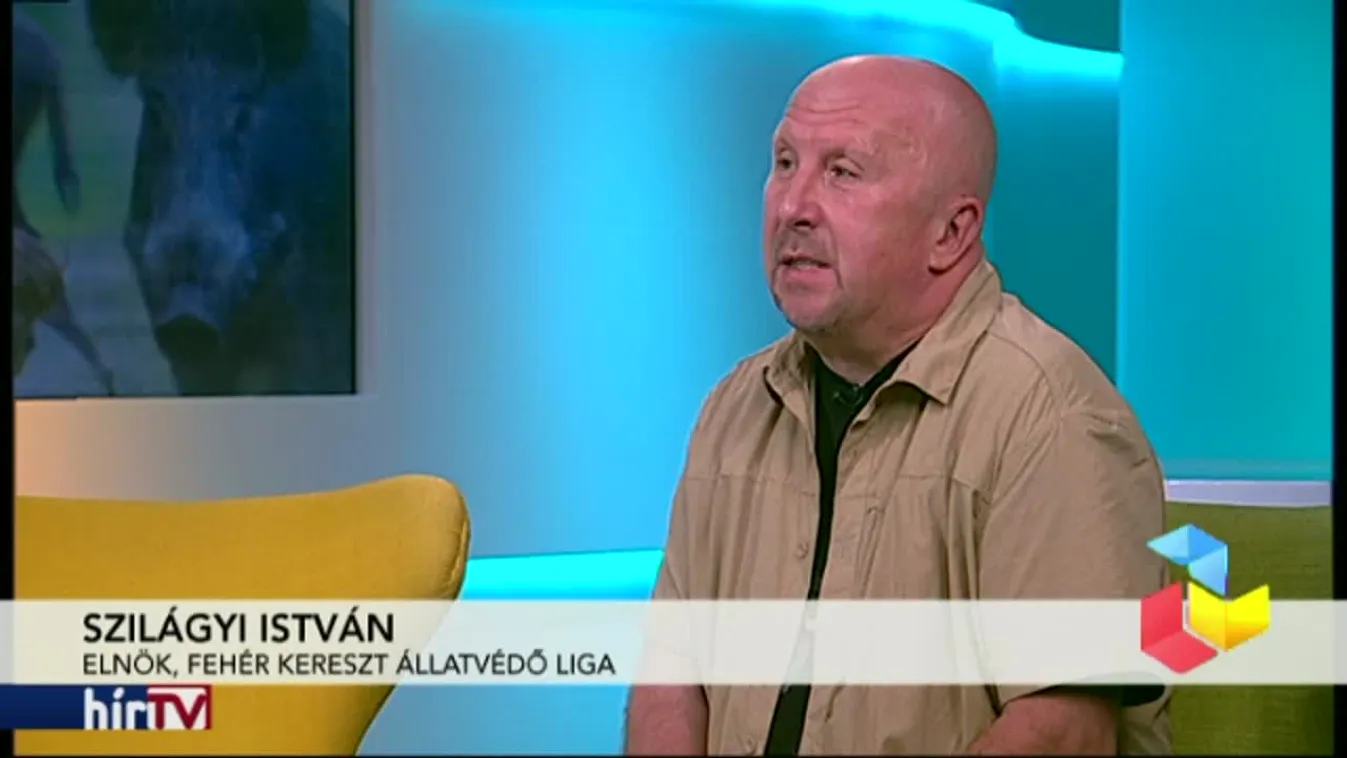 Reggeli járat – Urbanizálódó vadak