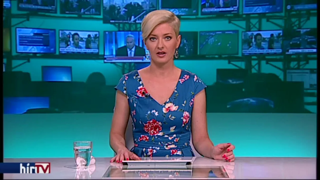 Palkovicsot küldik harcolni Brüsszellel