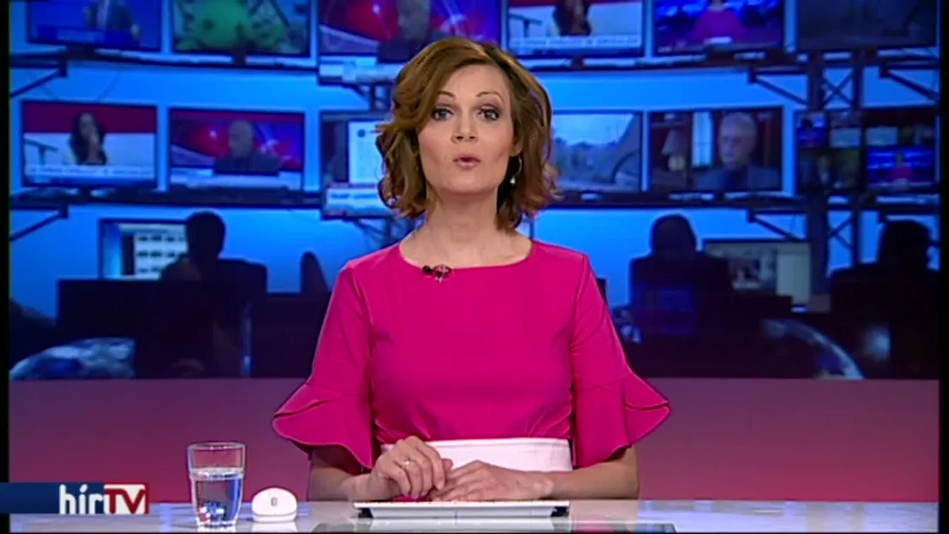 Az Ab-től várják, szabjon gátat Handó Tünde önkényének