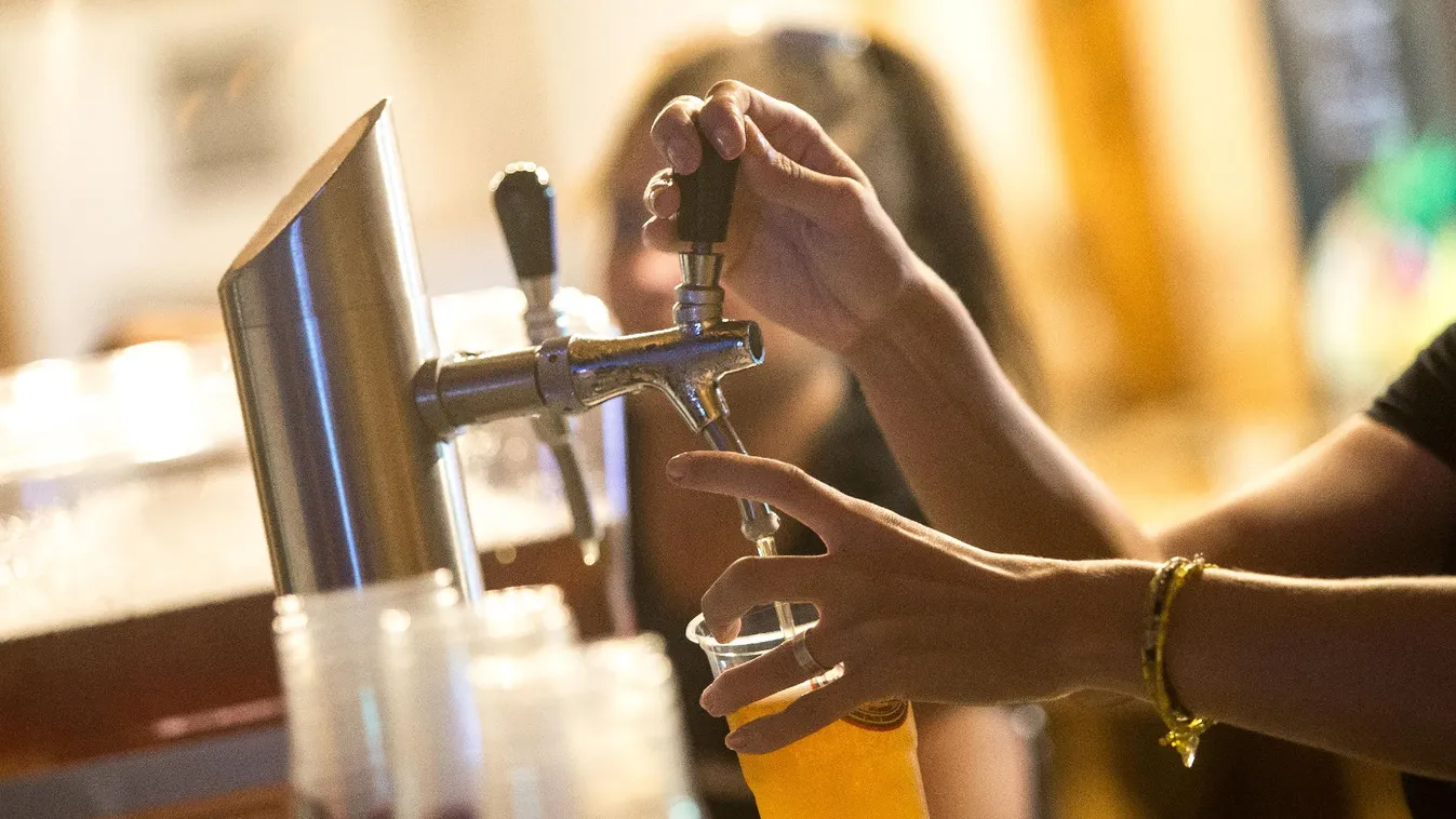 Sörteszt – Panaszkönyv