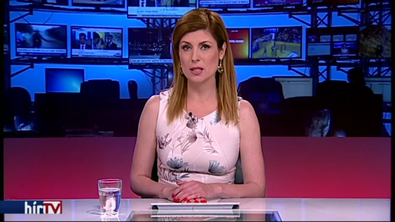 Annyira gyorsan lezárták a pályázatot, hogy csak a kormányközeliek tudtak jelentkezni